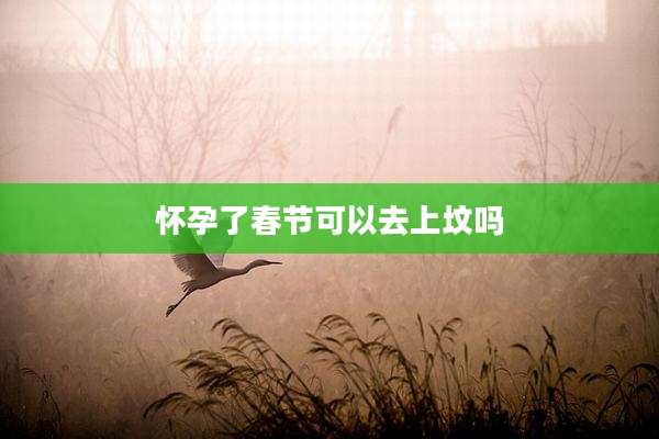 怀孕了春节可以去上坟吗