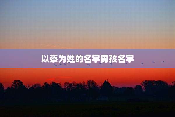 以蔡为姓的名字男孩名字