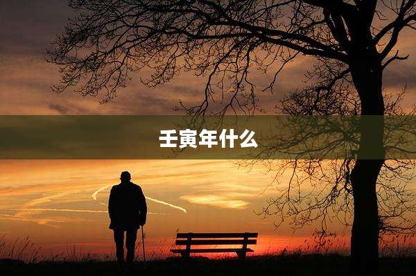 壬寅年什么
