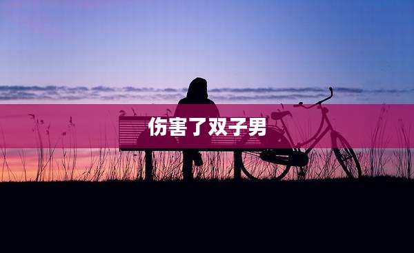 伤害了双子男