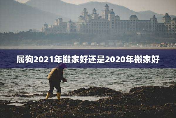 属狗2021年搬家好还是2020年搬家好