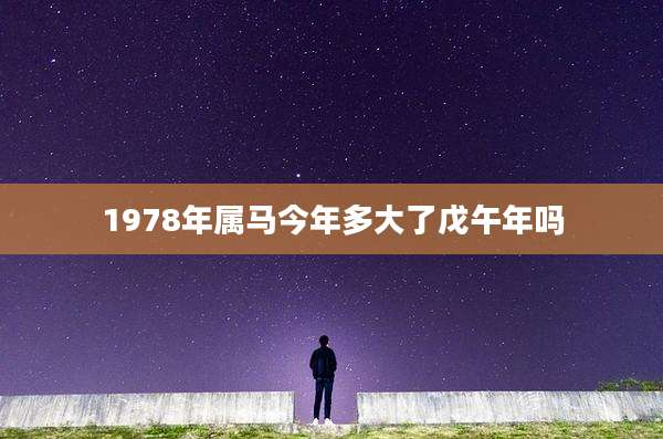 1978年属马今年多大了戊午年吗