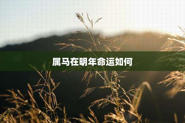属马在明年命运如何