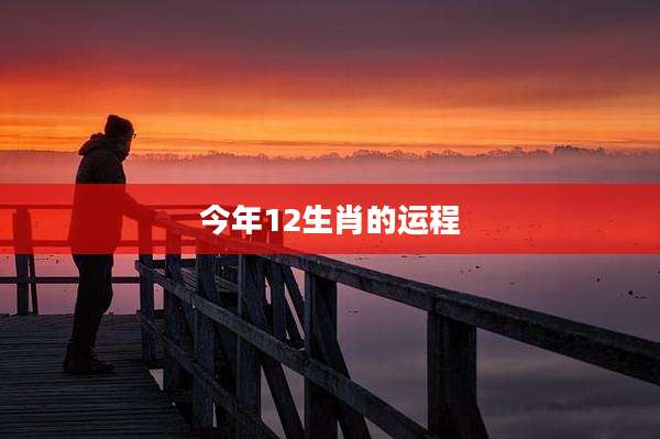 今年12生肖的运程