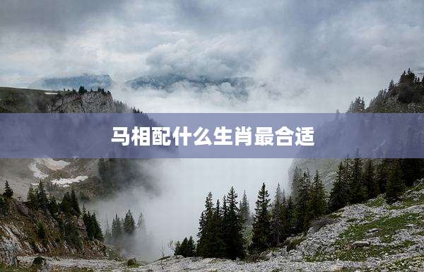 马相配什么生肖最合适
