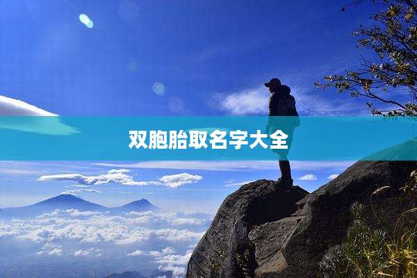 双胞胎取名字大全