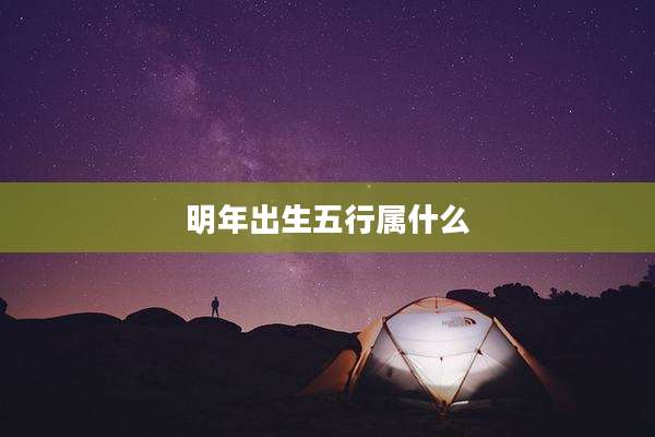 明年出生五行属什么