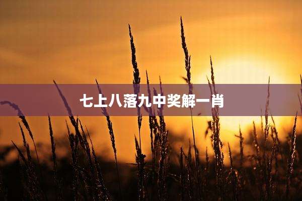 七上八落九中奖解一肖
