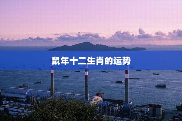 鼠年十二生肖的运势