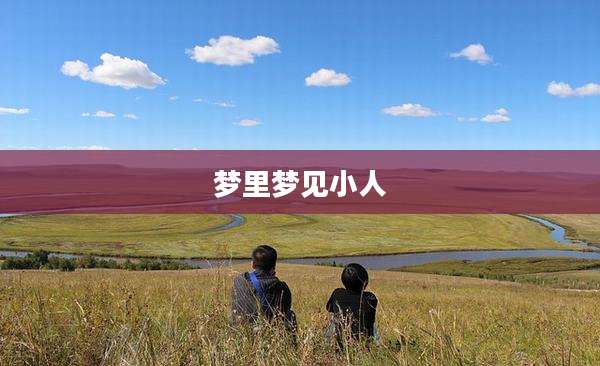 梦里梦见小人