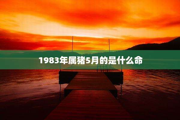 1983年属猪5月的是什么命
