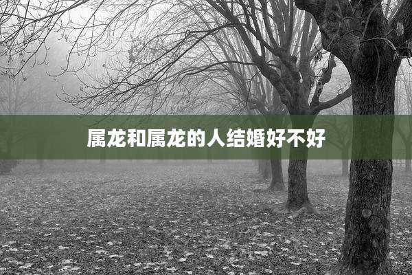 属龙和属龙的人结婚好不好
