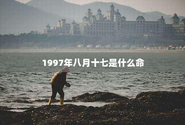 1997年八月十七是什么命