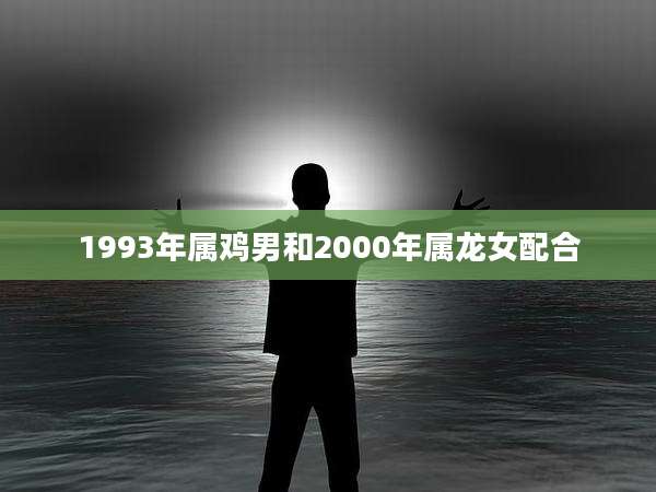 1993年属鸡男和2000年属龙女配合