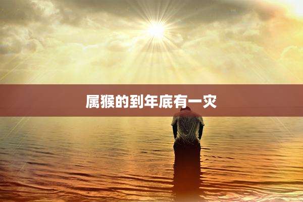 属猴的到年底有一灾