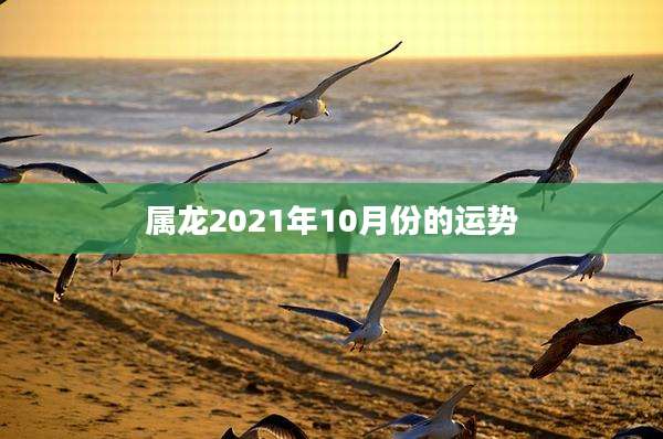 属龙2021年10月份的运势