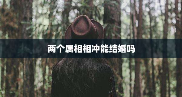 两个属相相冲能结婚吗