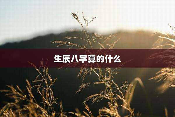 生辰八字算的什么