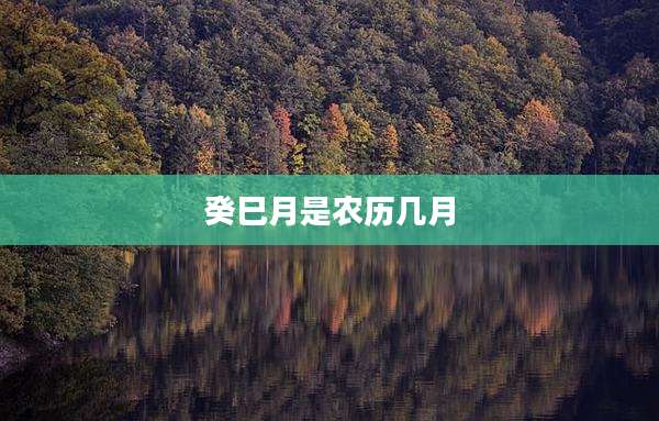 癸巳月是农历几月