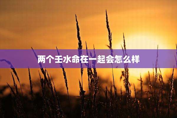 两个壬水命在一起会怎么样