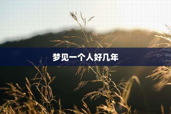 梦见一个人好几年