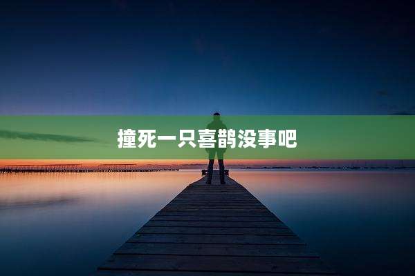 撞死一只喜鹊没事吧