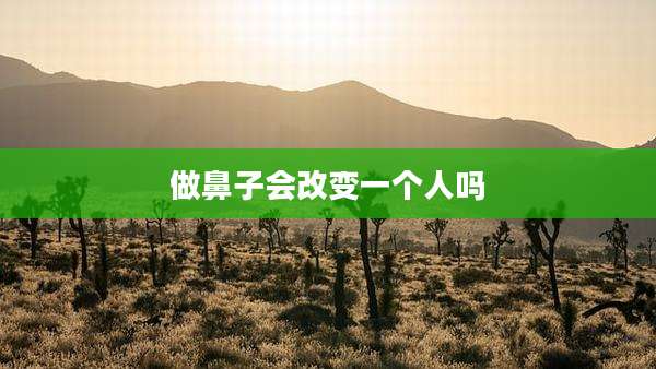 做鼻子会改变一个人吗