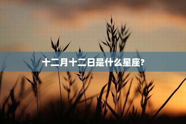 十二月十二日是什么星座?