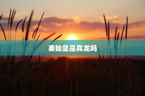 秦始皇是真龙吗
