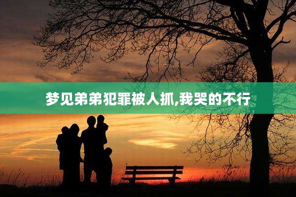 梦见弟弟犯罪被人抓,我哭的不行