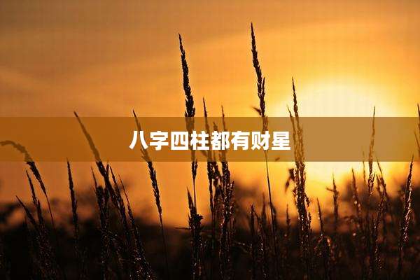 八字四柱都有财星