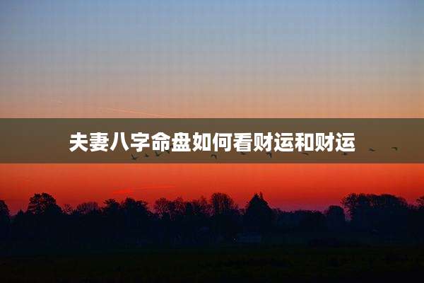 夫妻八字命盘如何看财运和财运
