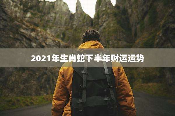 2021年生肖蛇下半年财运运势