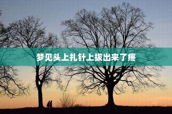 梦见头上扎针上***了疼