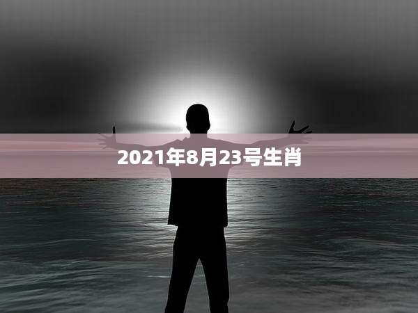 2021年8月23号生肖