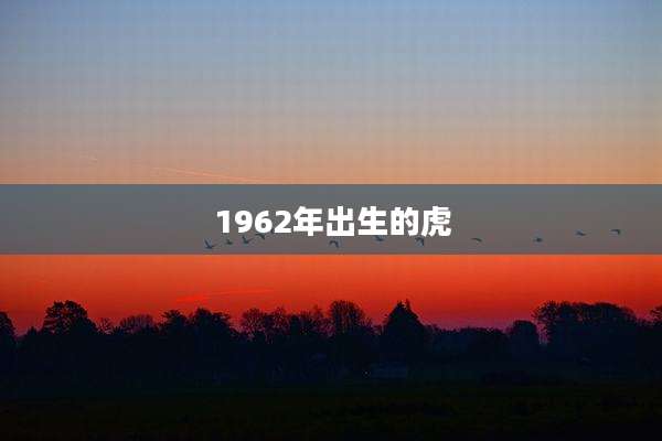 1962年出生的虎