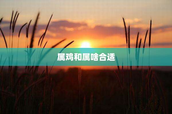 属鸡和属啥合适