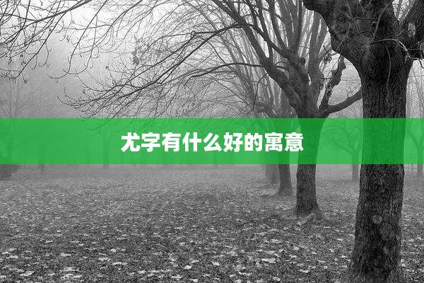 尤字有什么好的寓意