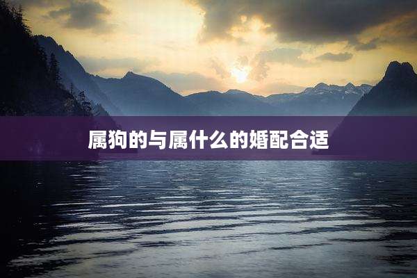 属狗的与属什么的婚配合适