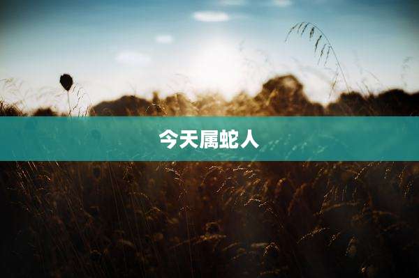 今天属蛇人