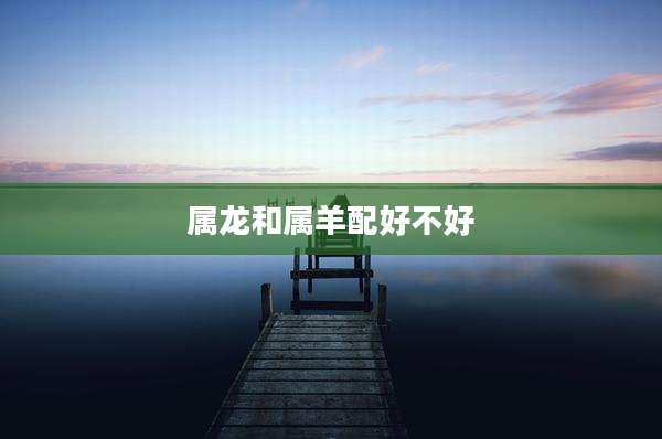 属龙和属羊配好不好