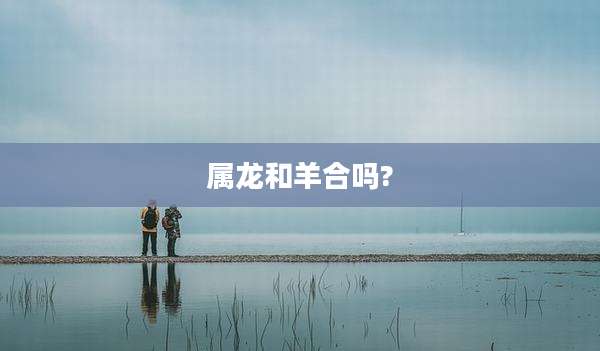 属龙和羊合吗?