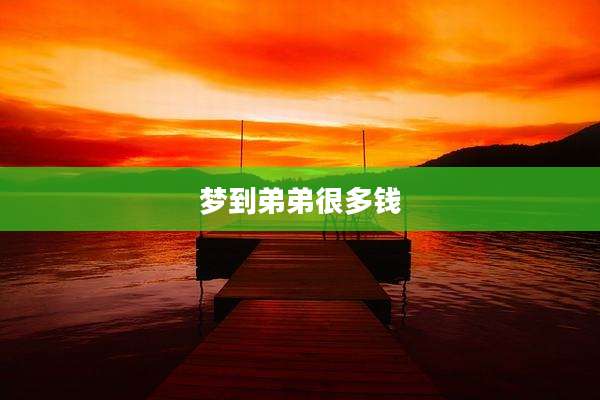 梦到弟弟很多钱