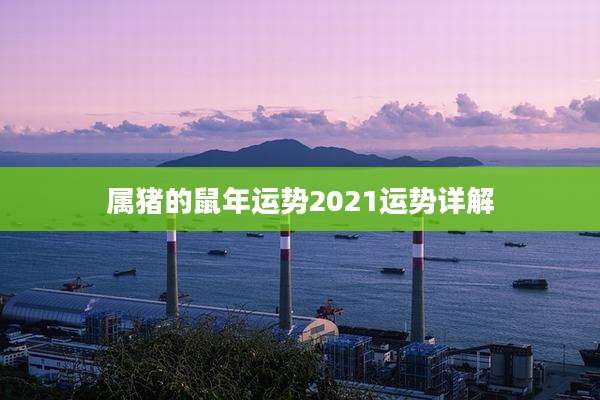 属猪的鼠年运势2021运势详解