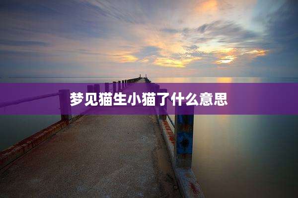梦见猫生小猫了什么意思