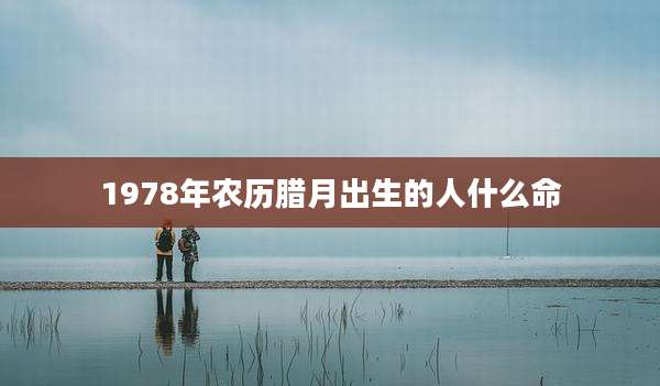 1978年农历腊月出生的人什么命