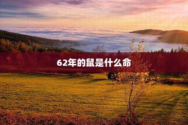 62年的鼠是什么命