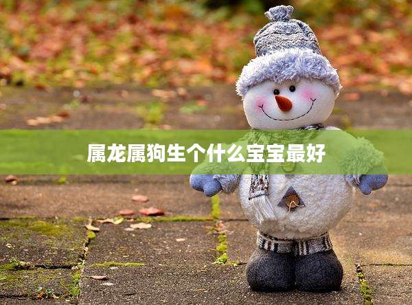 属龙属狗生个什么宝宝最好