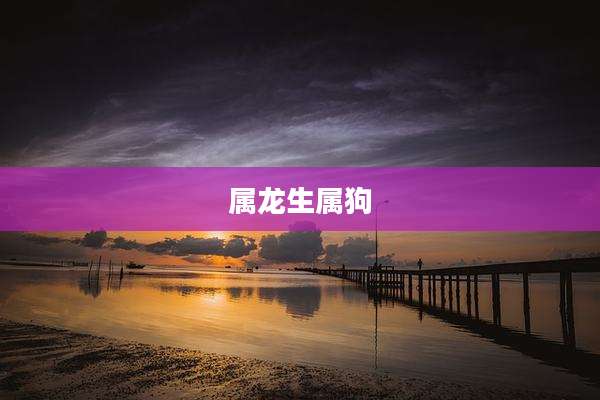 属龙生属狗