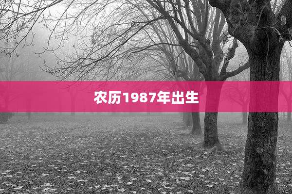 农历1987年出生